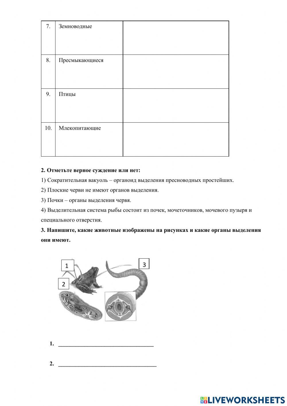 Лабораторная работа №6
