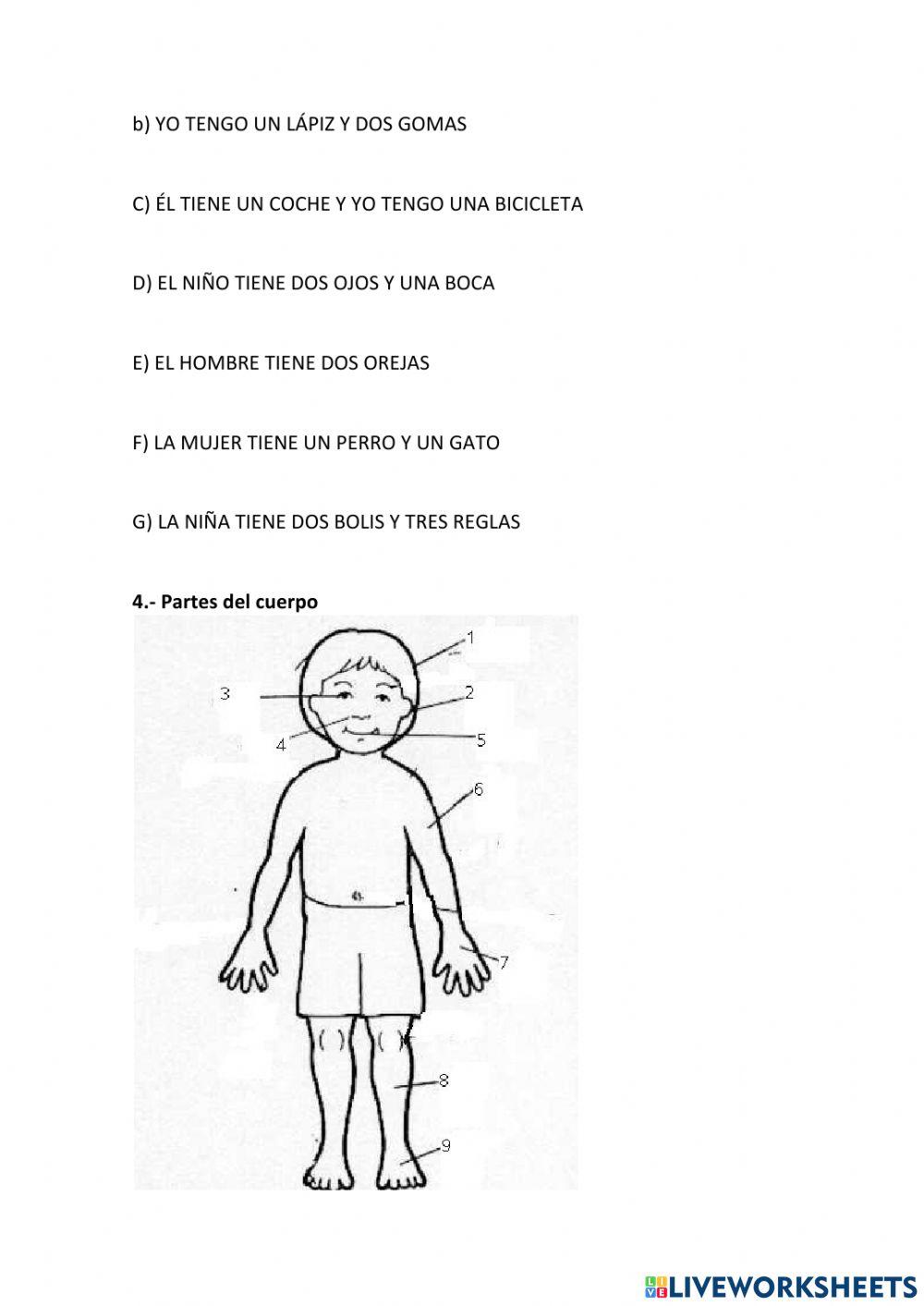 Easy level 1º eso 1