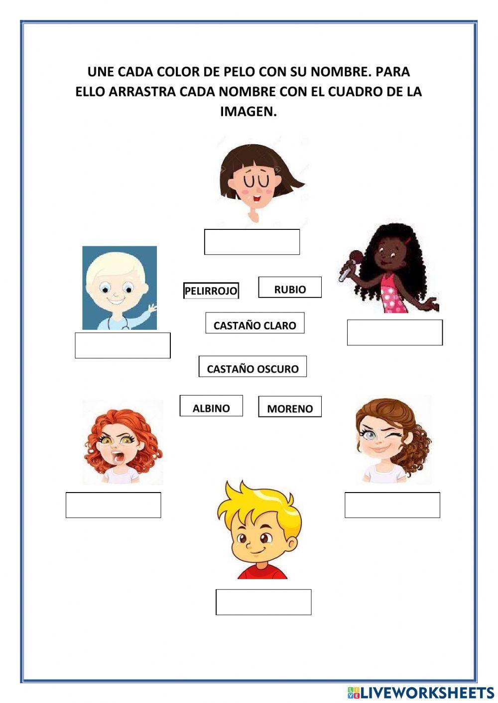 Colores de pelo para primero primaria