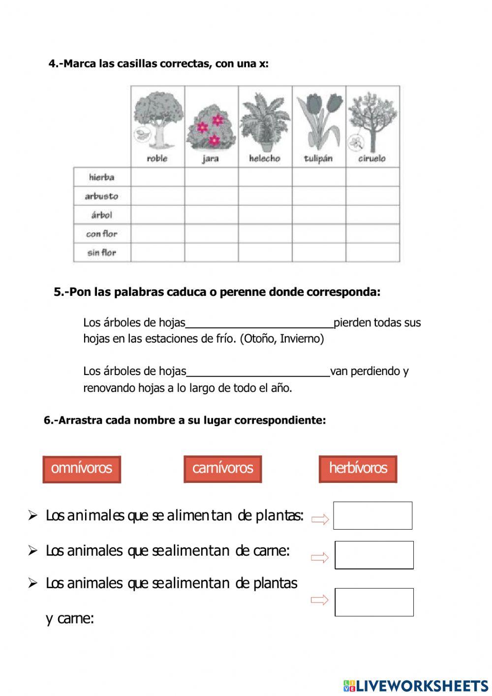 ¡Cuántos seres vivos!