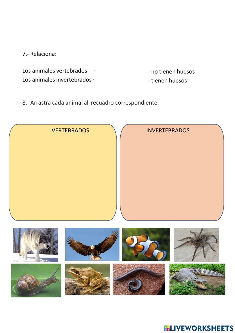 ¡Cuántos seres vivos!