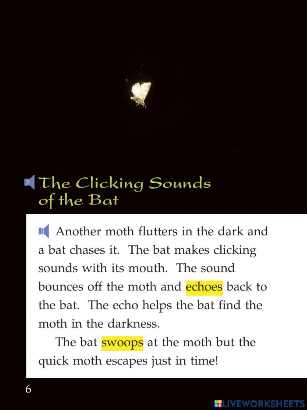 Chased by a bat