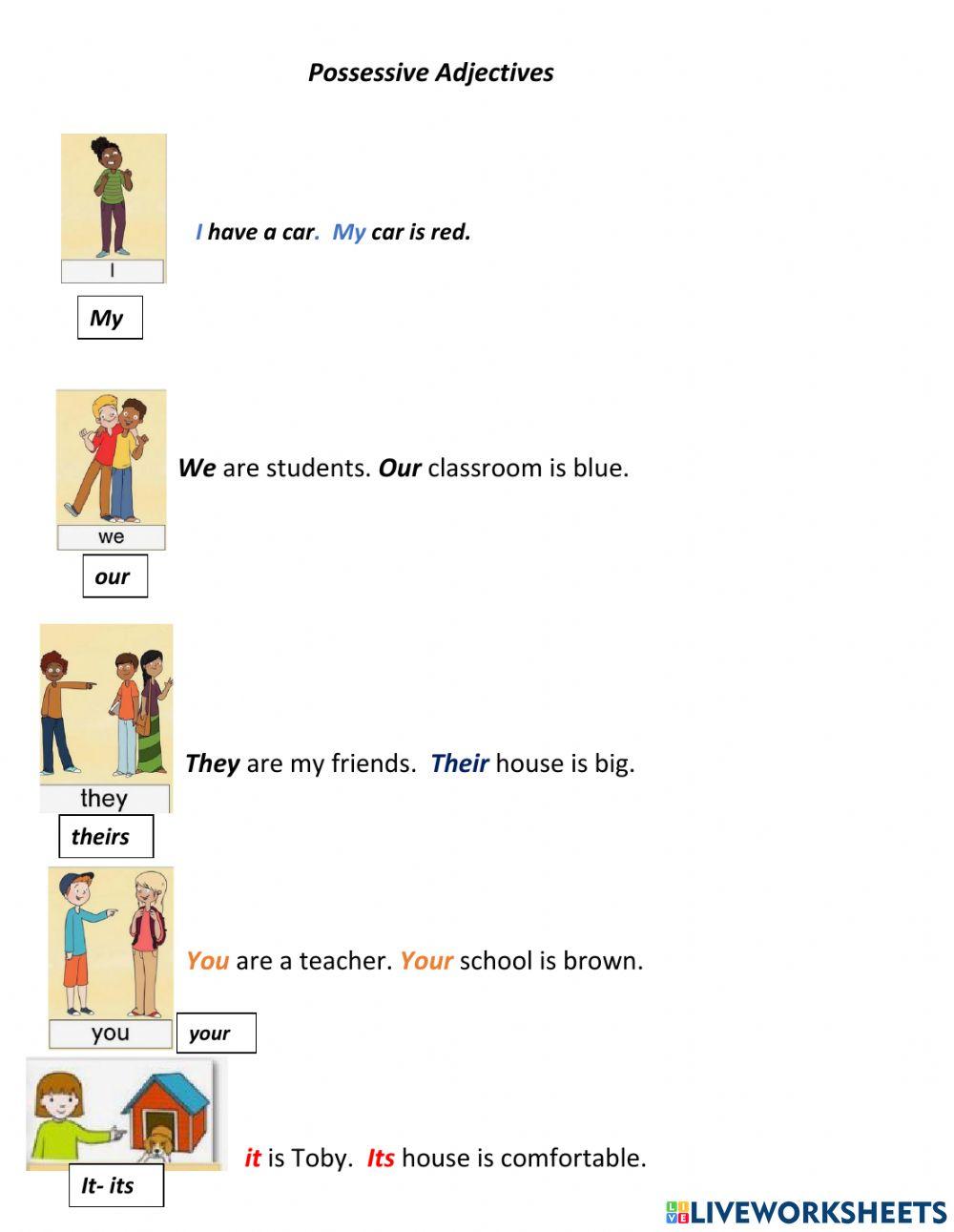 Possessive your, my, our