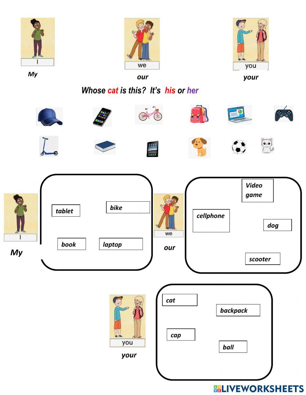 Possessive your, my, our