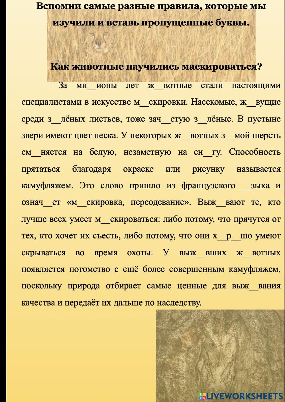 Пропущенные буквы