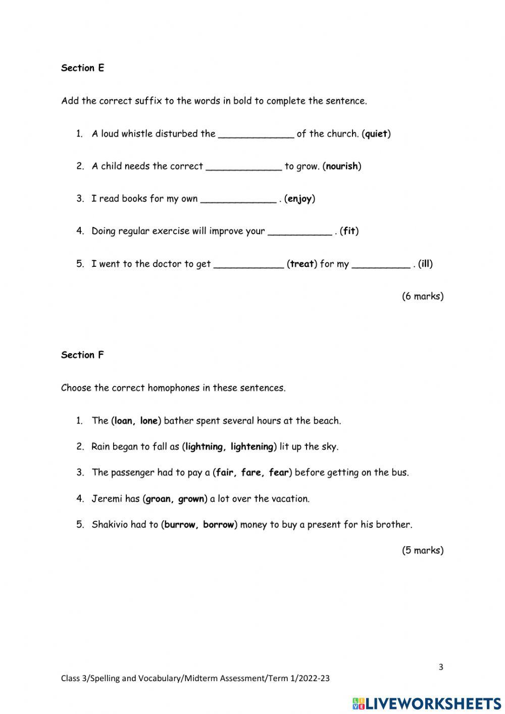 Spelling and Vocabulary Assessment