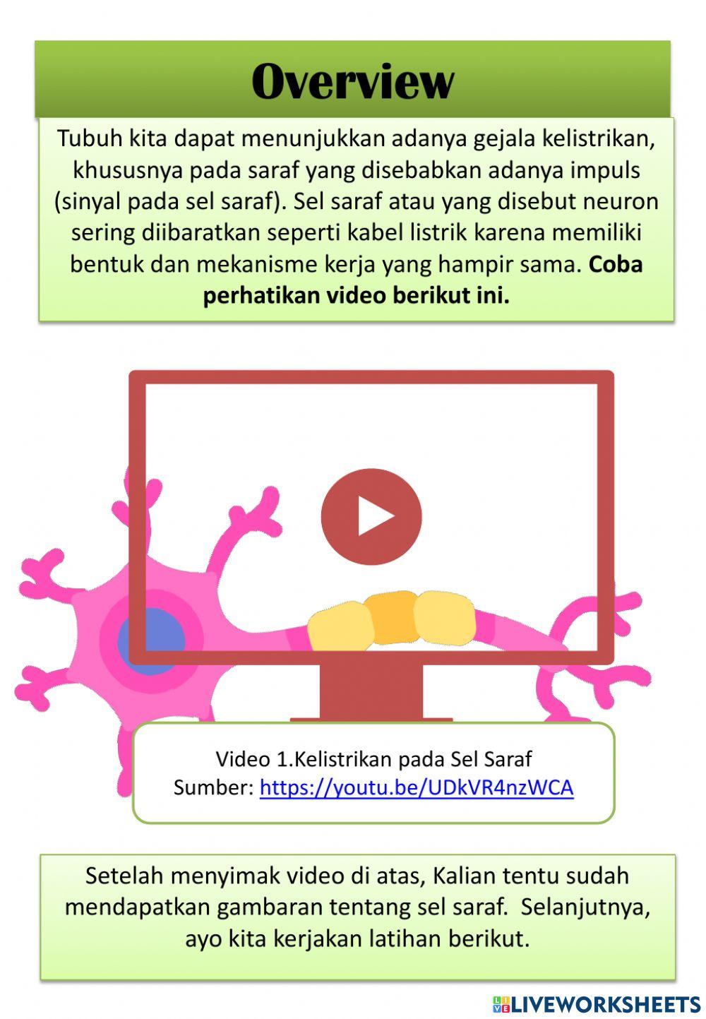 Kelistrikan pada Sel Saraf