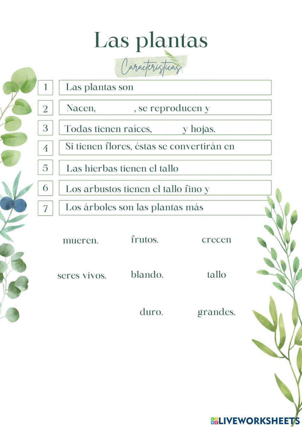 Características de las plantas