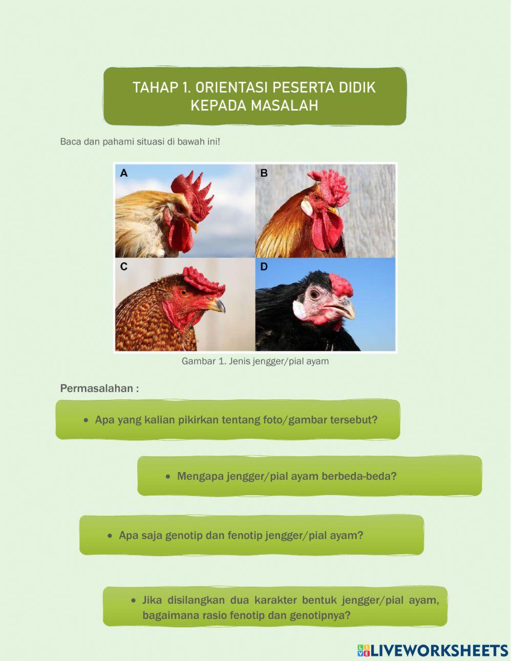 Penyimpangan Semu Hukum Mendel