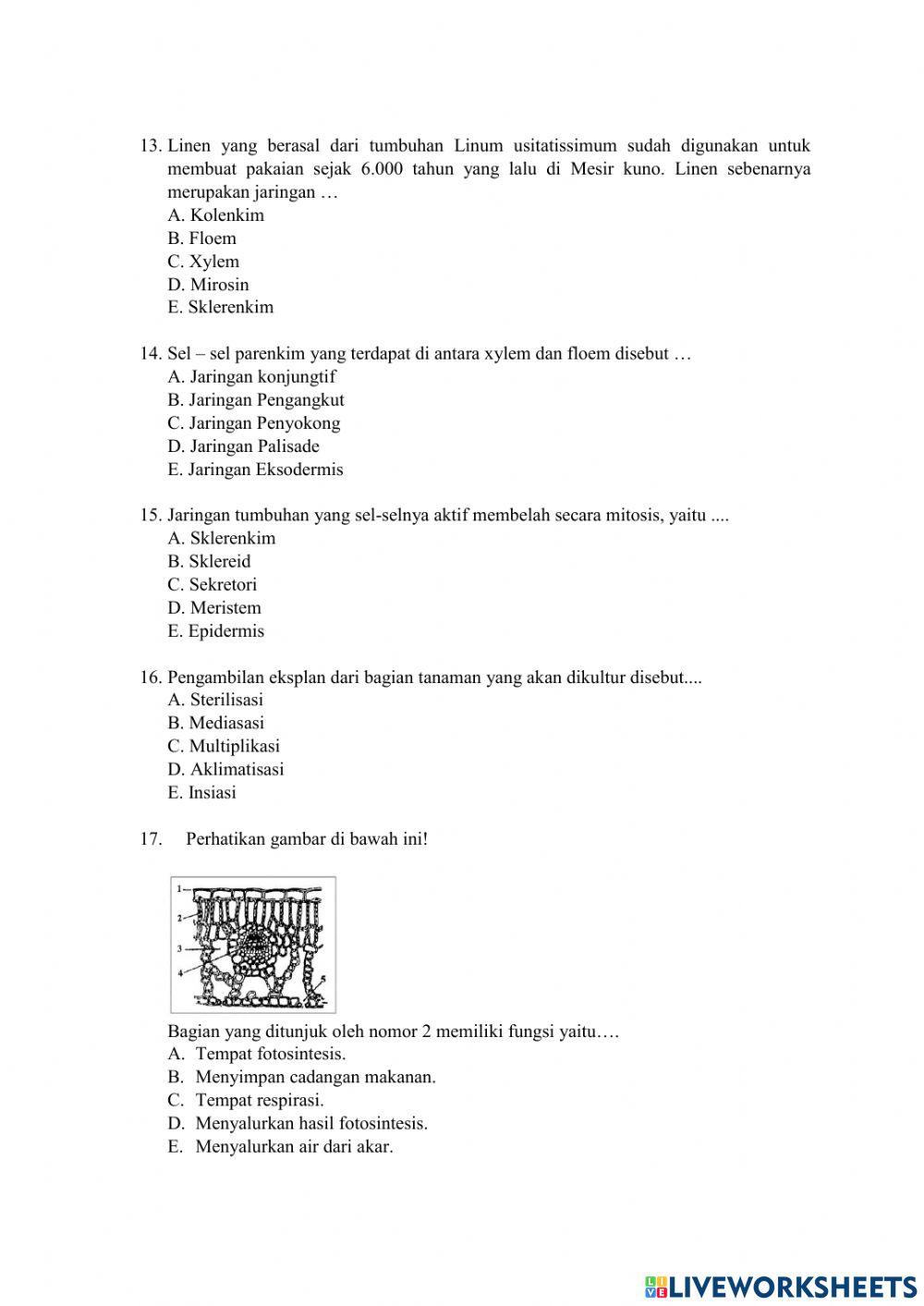 PAS Biologi XI 2022-2023