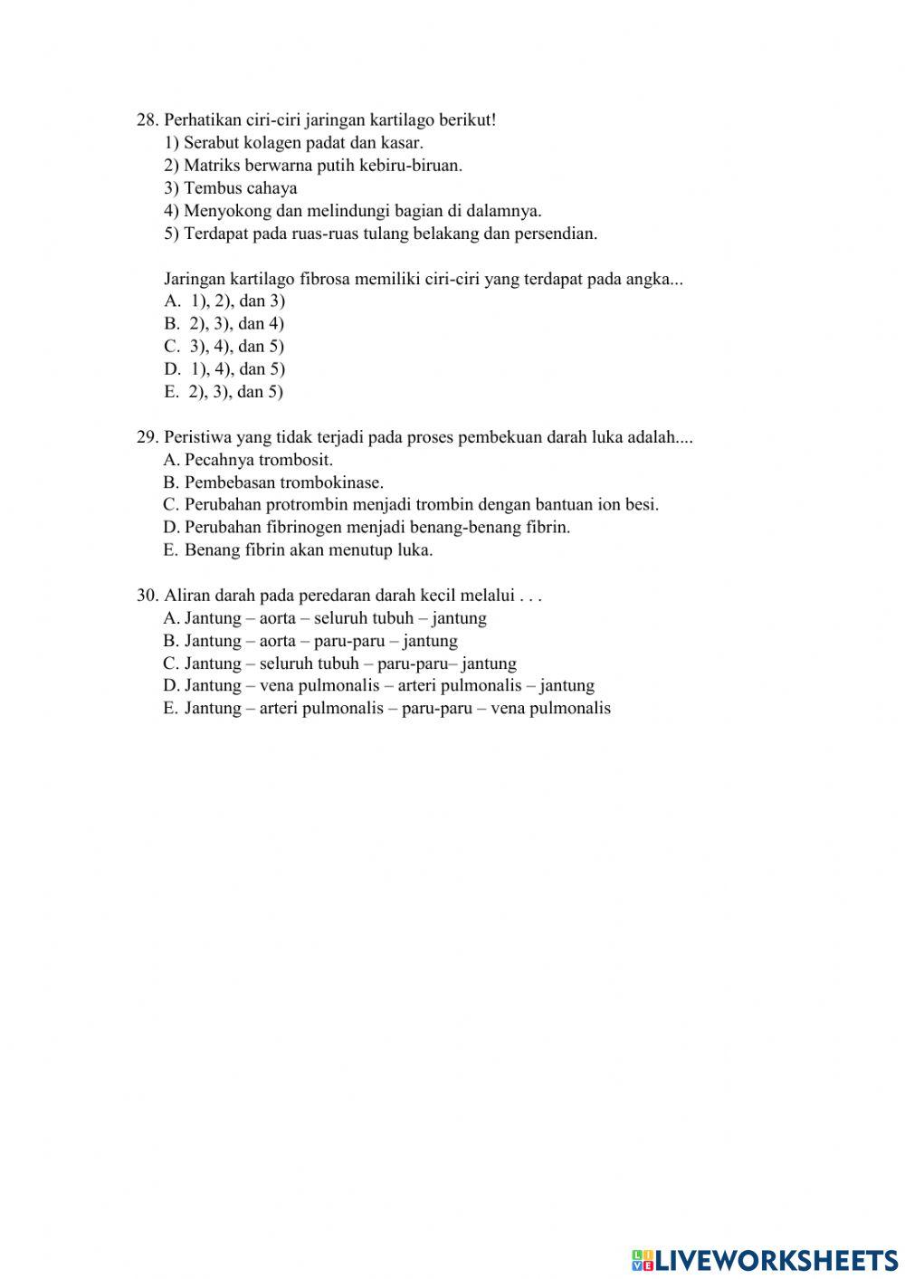 PAS Biologi XI 2022-2023