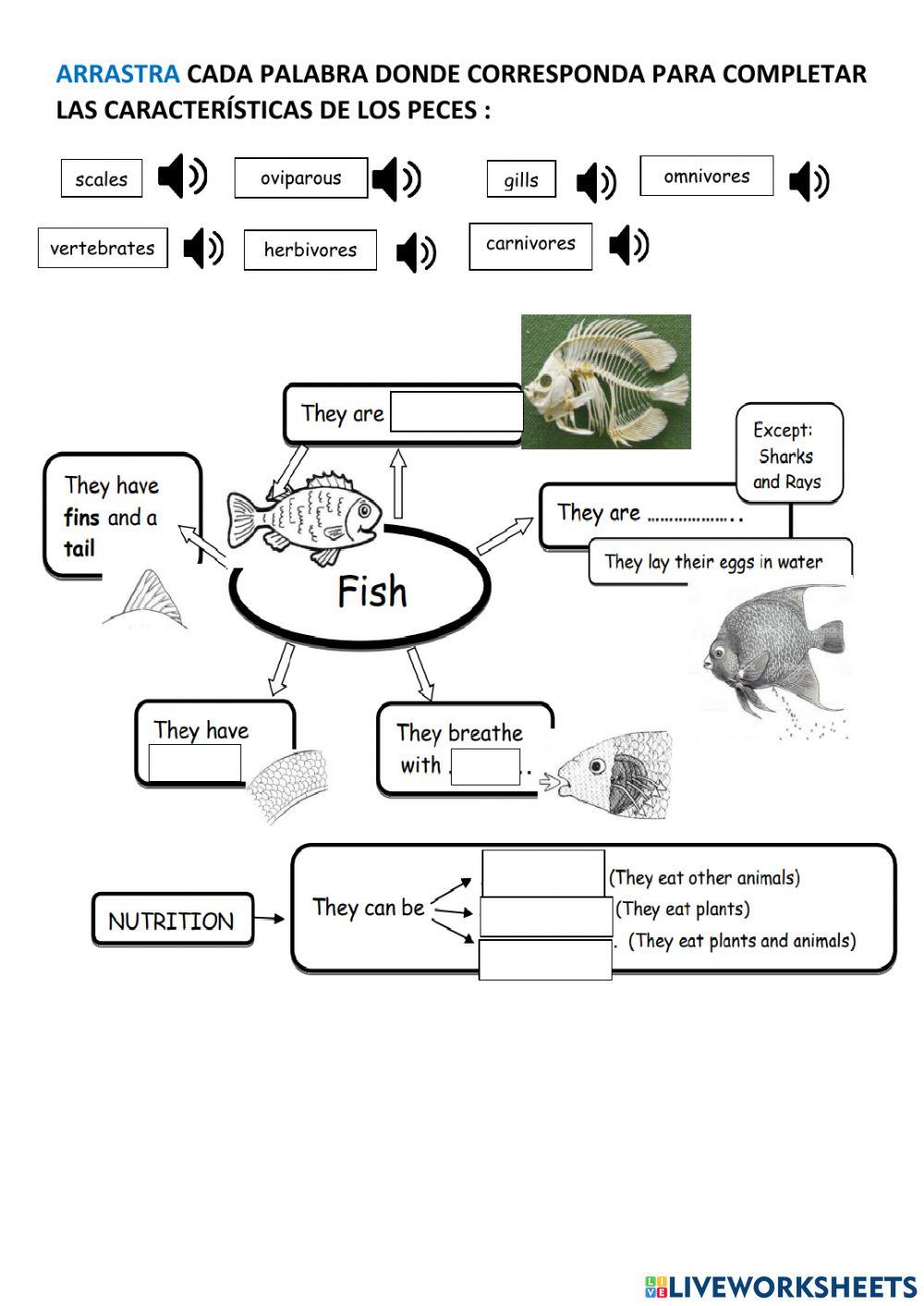 Fish characteristics