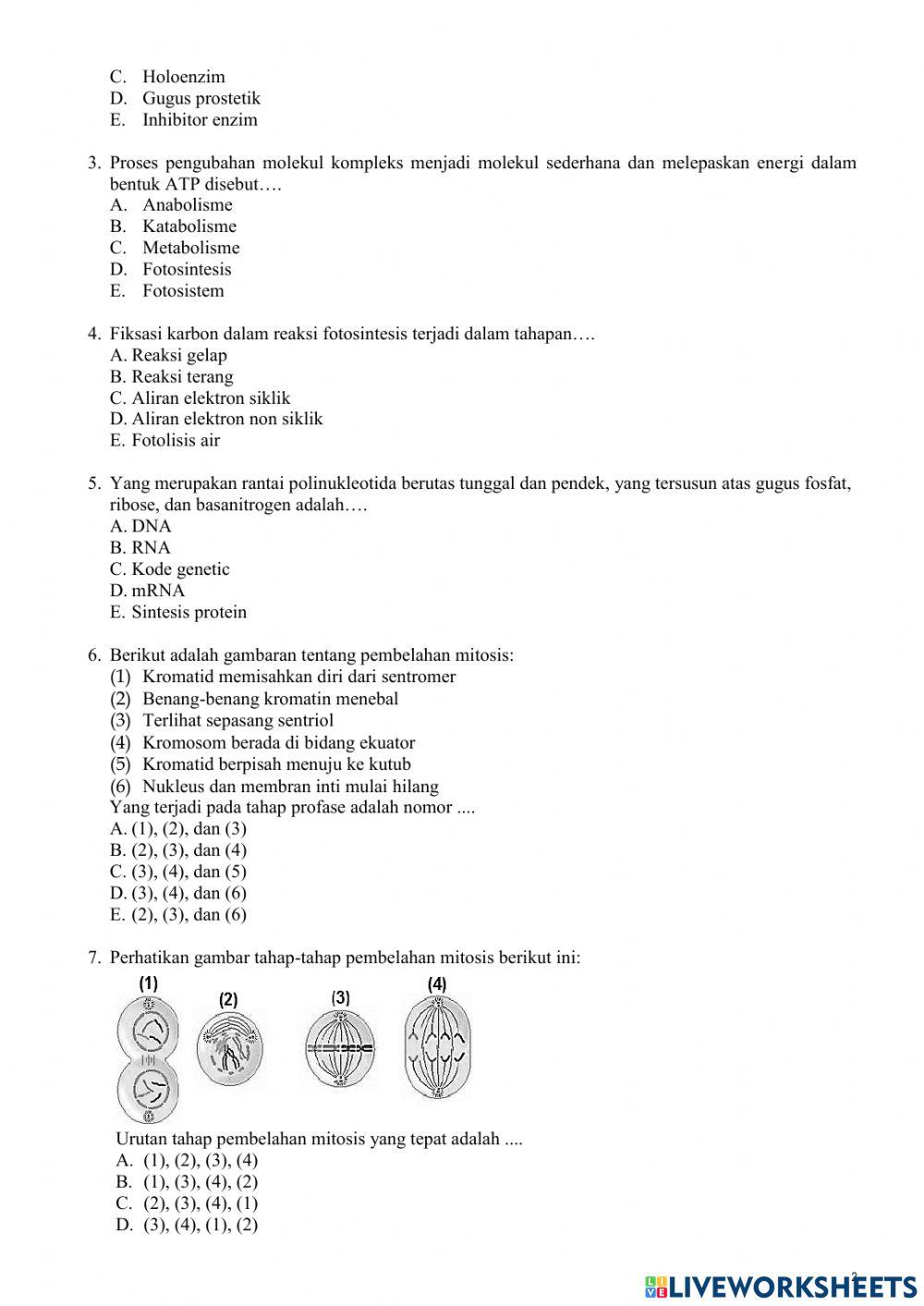 PAS Biologi XII 2022-2023