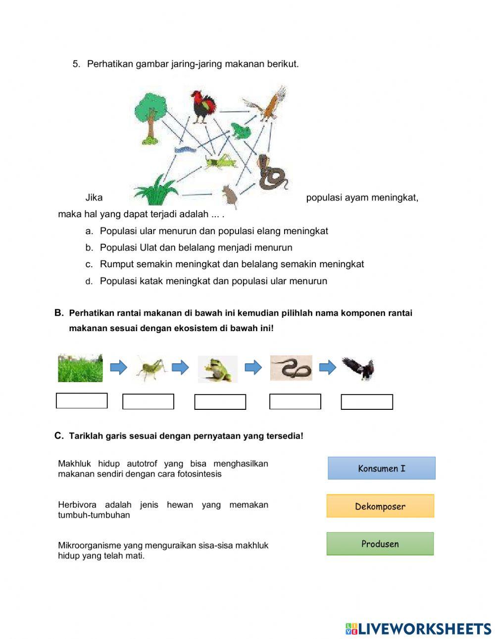 Evaluasi rantai makanan