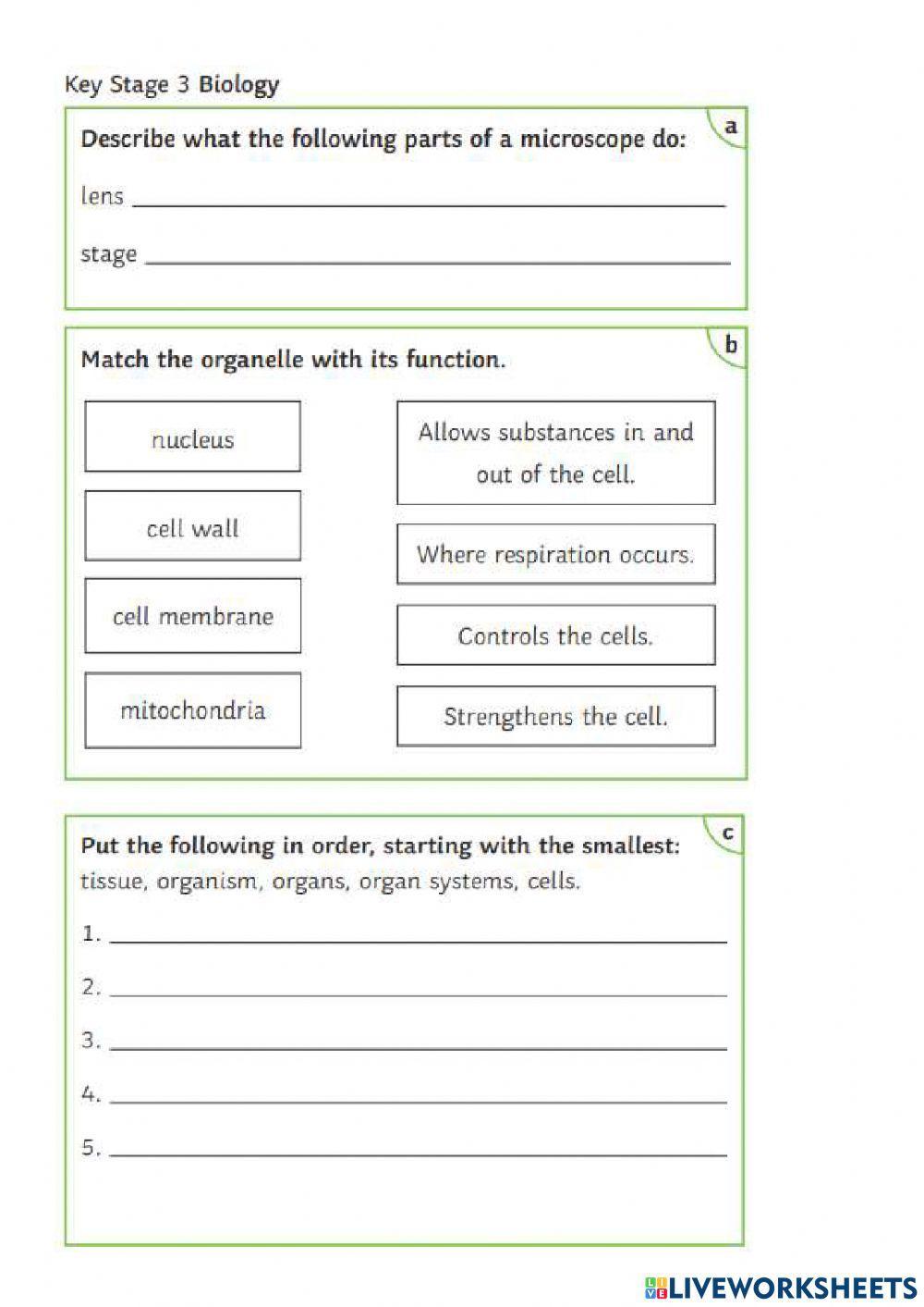 Revision on Cells