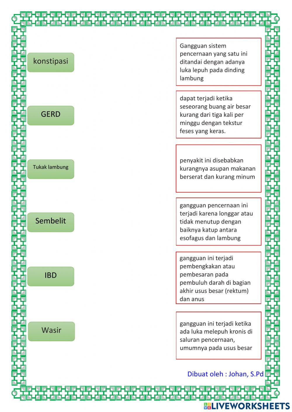 Sistem Pencernaan pada Manusia