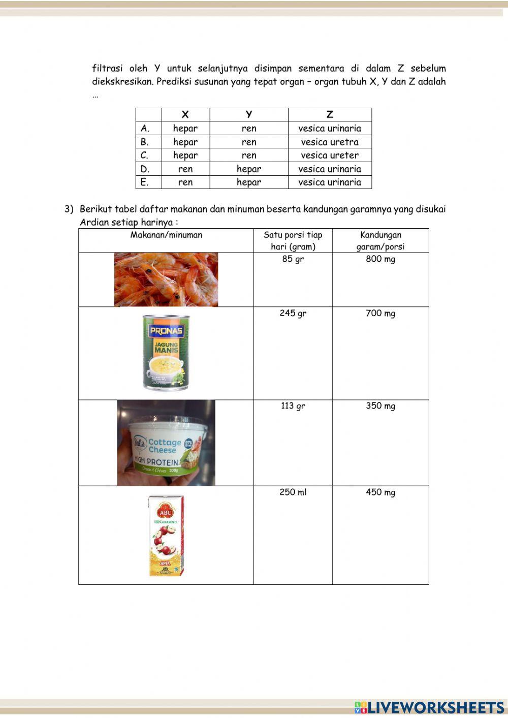 Postes Sistem Ekskresi Manusia