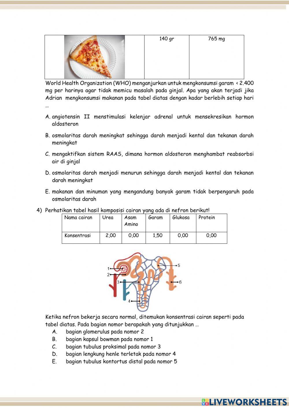 Postes Sistem Ekskresi Manusia