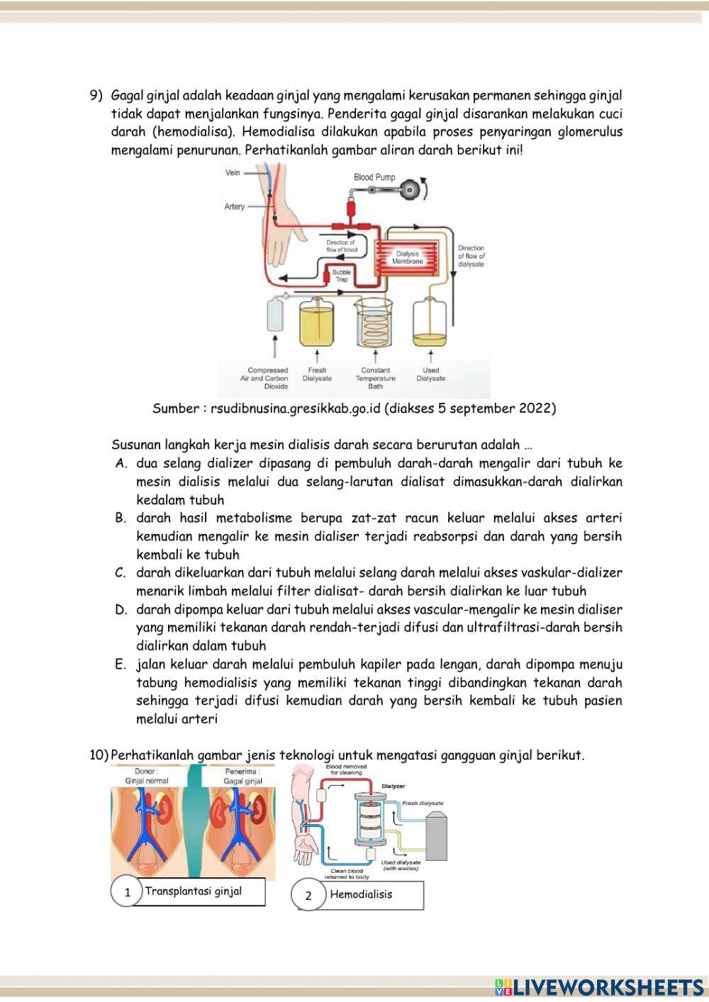 Postes Sistem Ekskresi Manusia