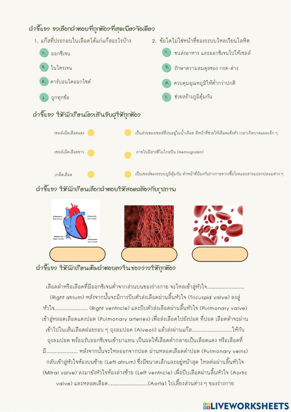 ระบบไหลเวียนโลหิต