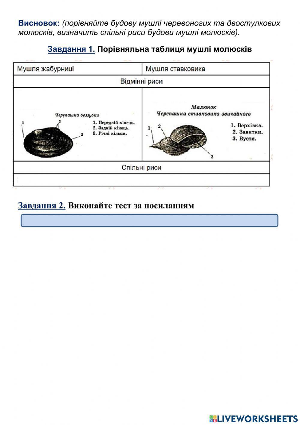 Лабораторне дослідження 3. Молюски