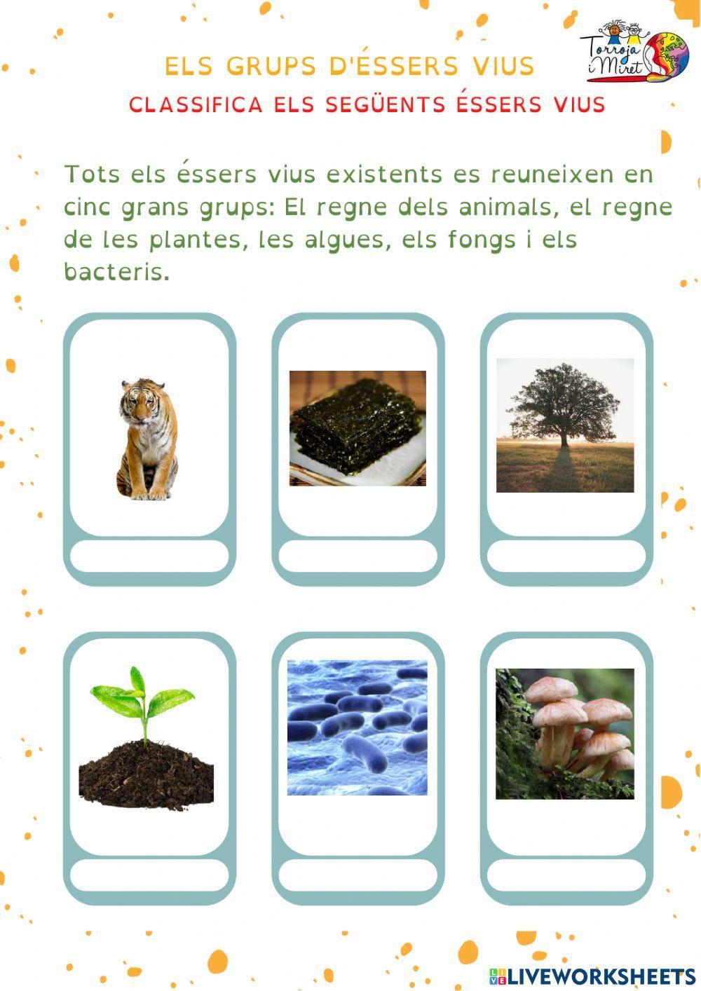 La classificació dels éssers vius