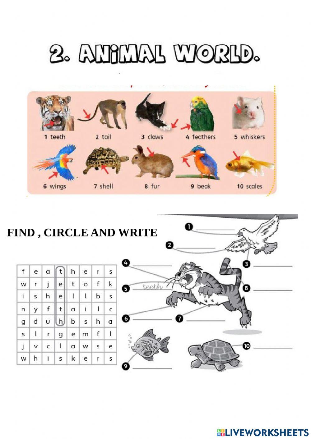 3º unit 2 vocabulary