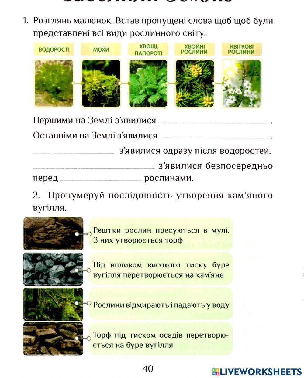 ЯДС робочий зошит с.40