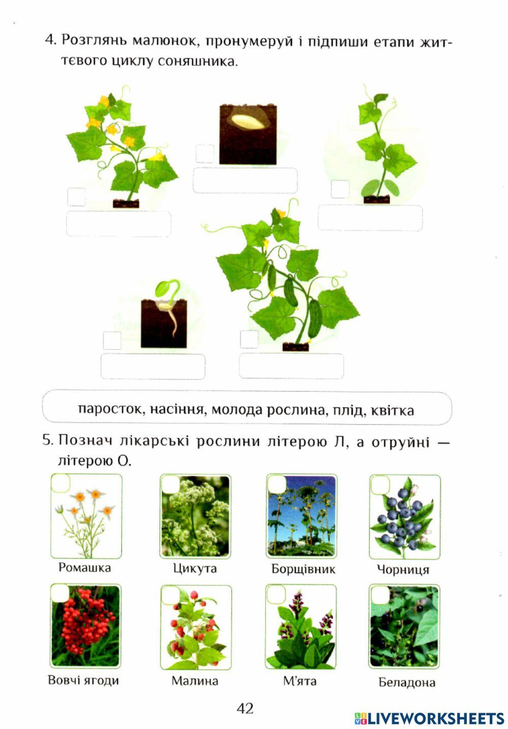 ЯДС Робочий зошит с.41-42
