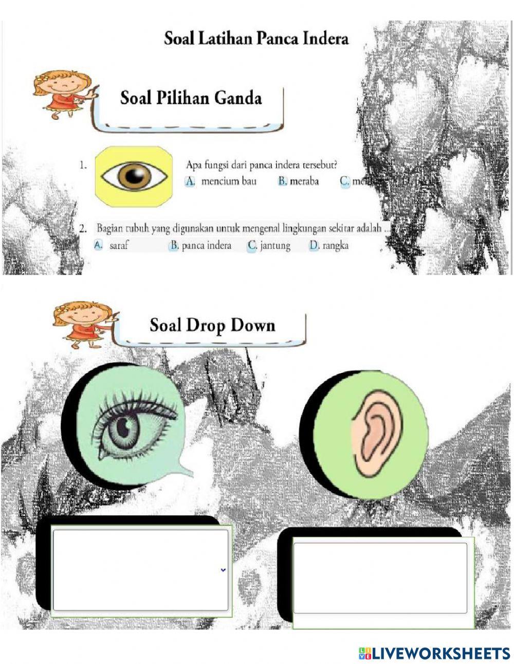 LKPD Panca Indra Fase B