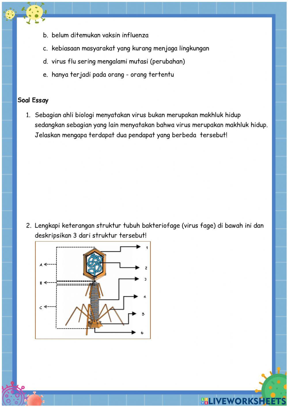 Penilaian Harian Virus