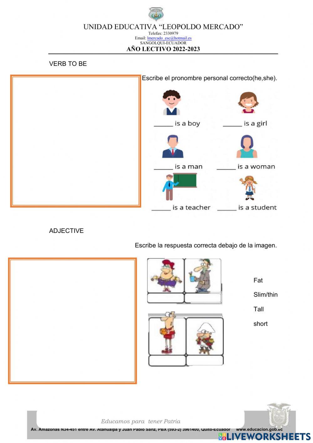 Refuerzo Academico tercer grado