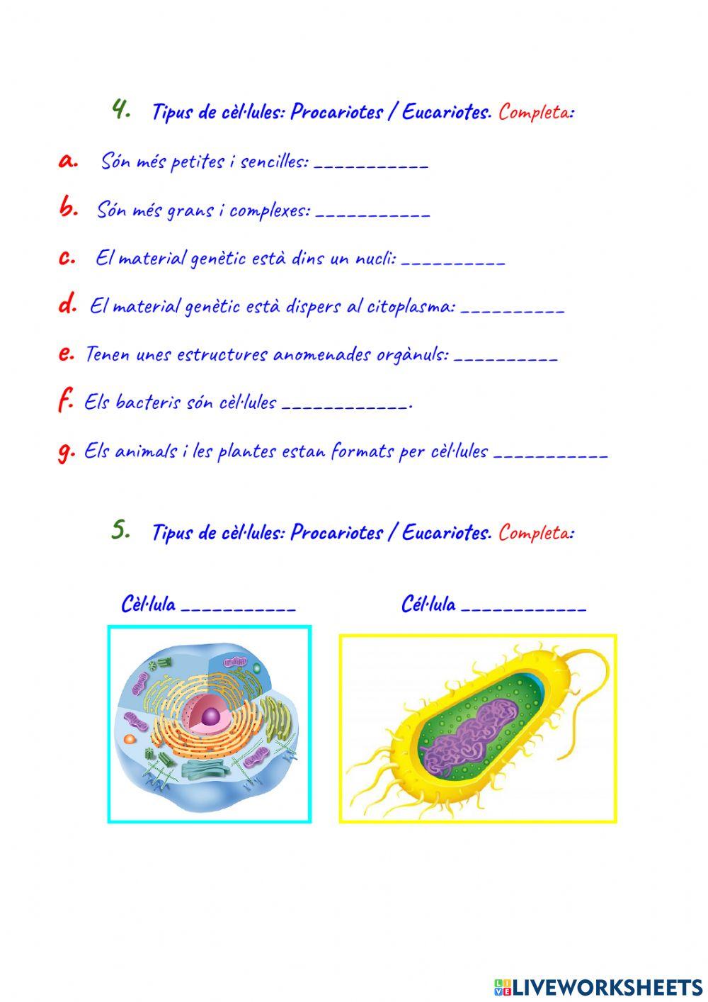 FUNCIONS VITALS i CÈL·LULES