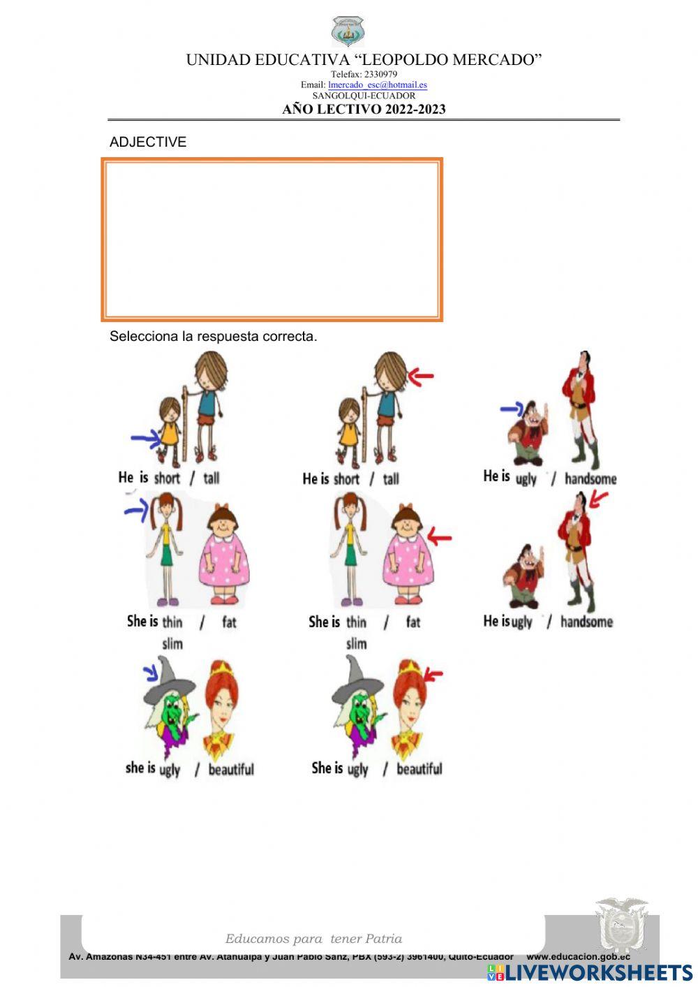 Refuerzo academico 5to