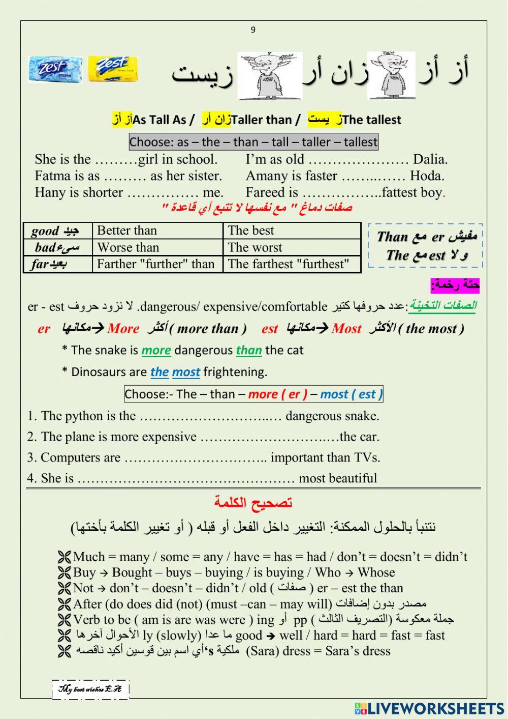 Prep 2 first term Vocab and grammar
