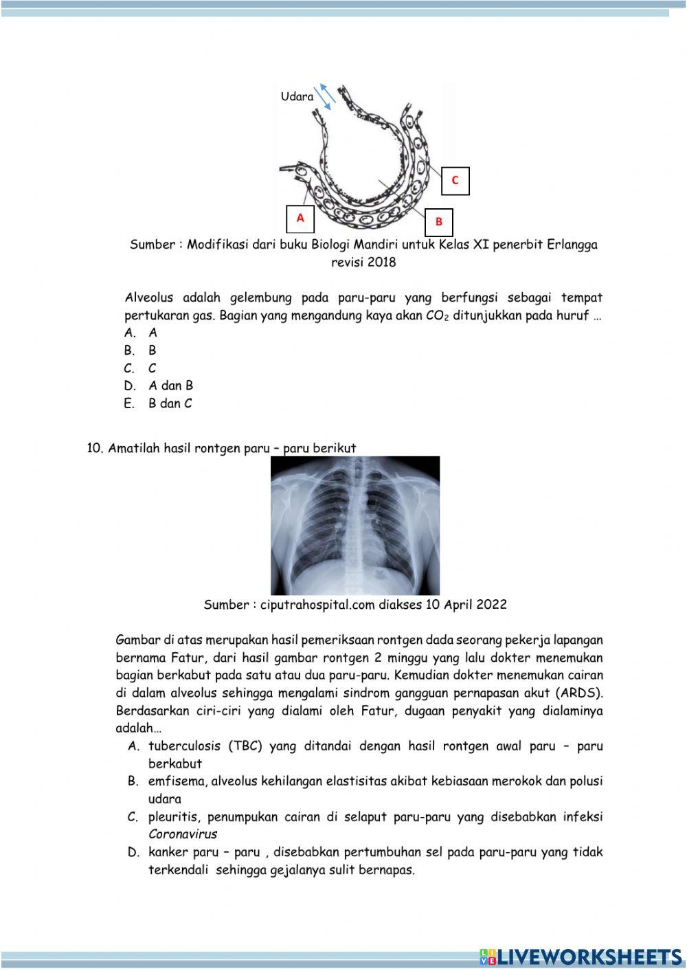 Postes pertemuan 3 - Organ Hati dan Paru-paru