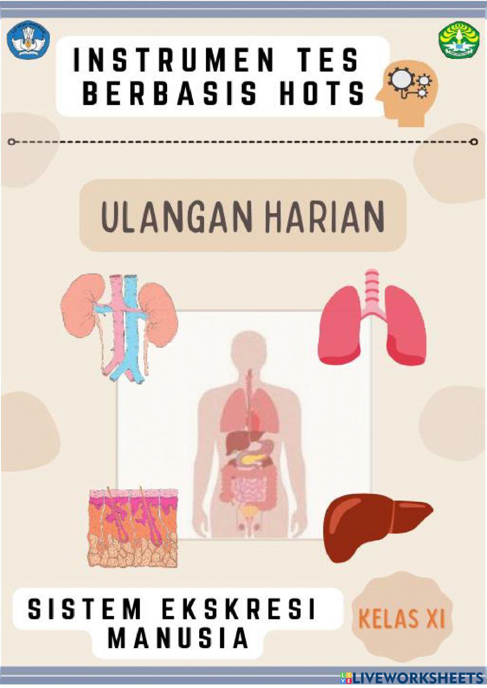 Ulangan Harian Sistem Ekskresi Manusia