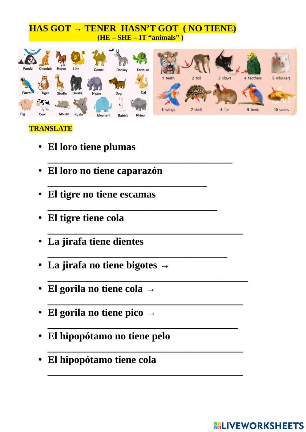 3º NEW TIGER Unit 2 HAS