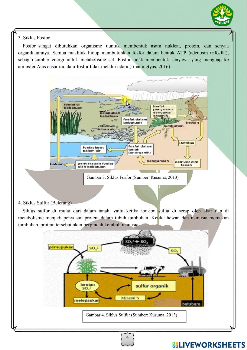E-lkm siklus nitrogen dan sulfur