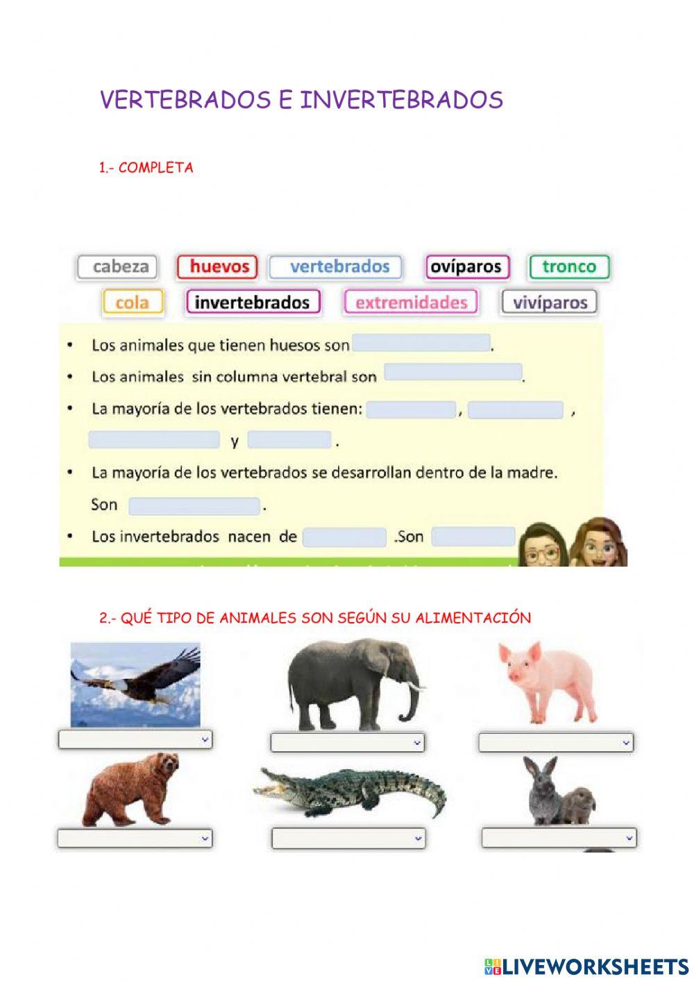 Animales vertebrados e invertebrads Animales vertebrados e invertebrads
