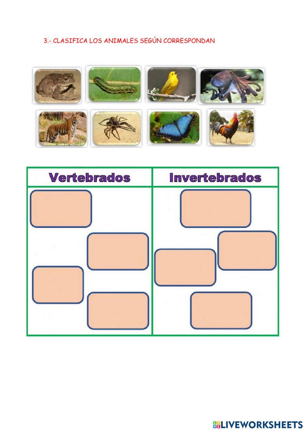 Animales vertebrados e invertebrads