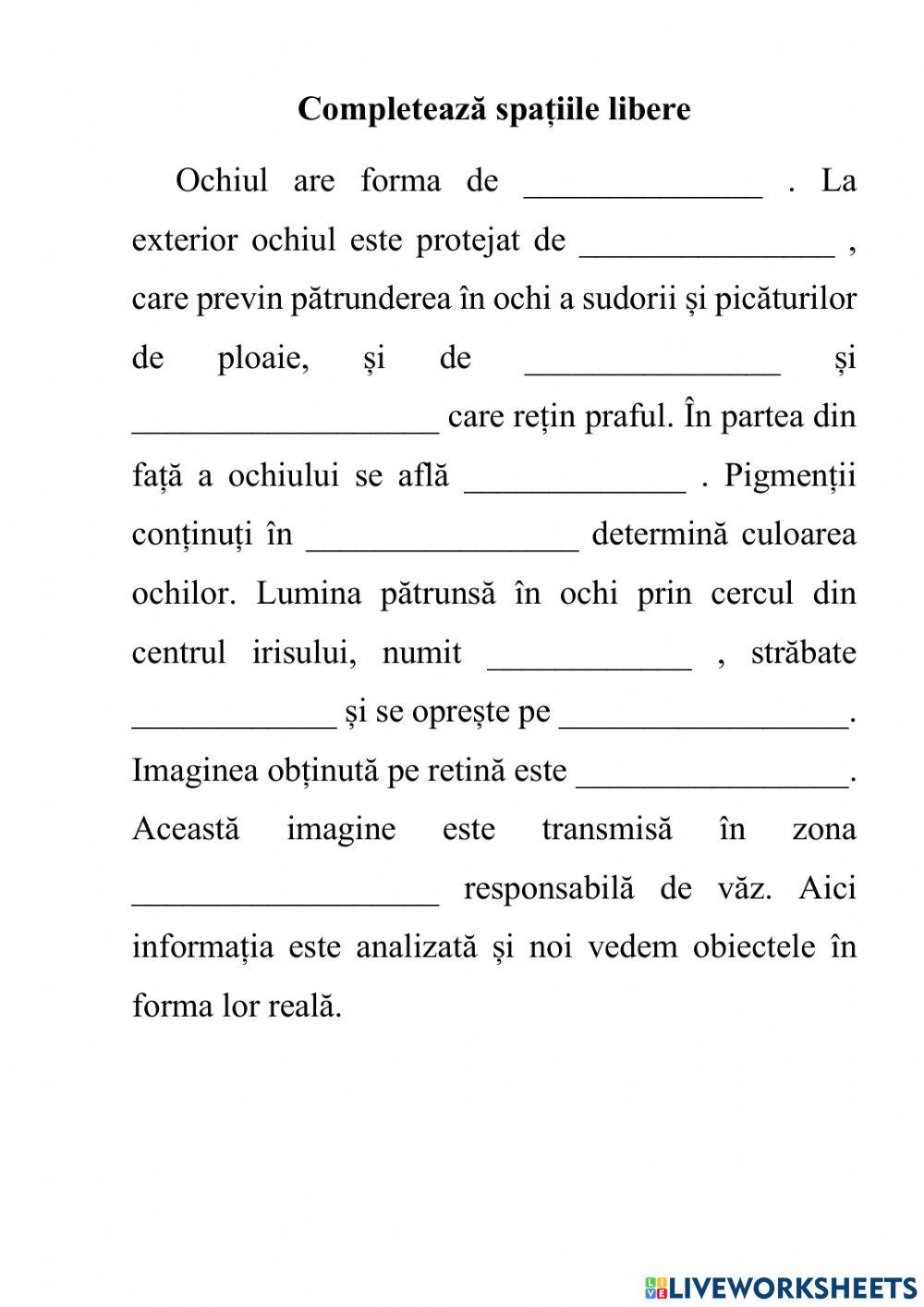 Ochiul-organ al văzului