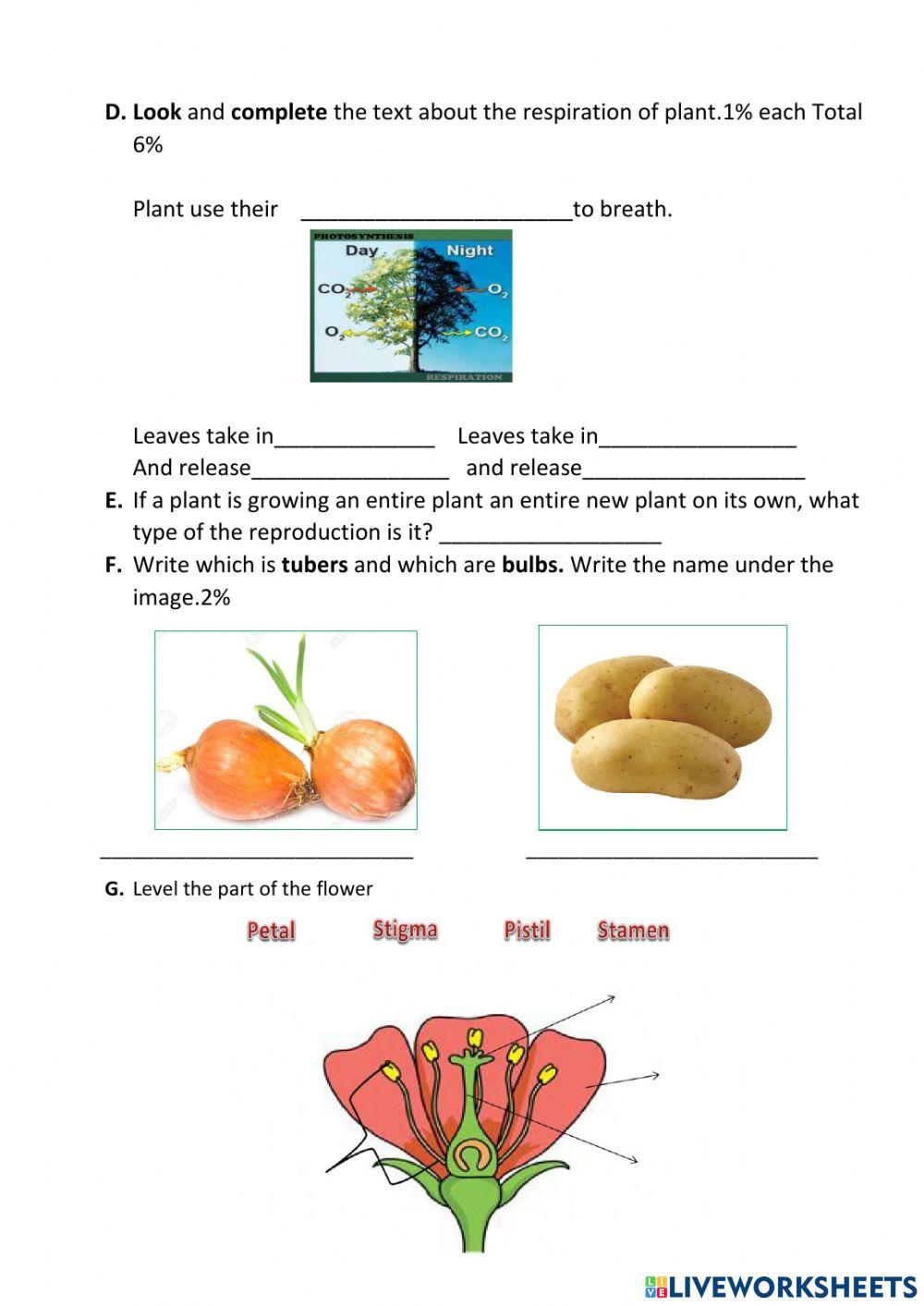 READING 4 GRADE EVALUATION