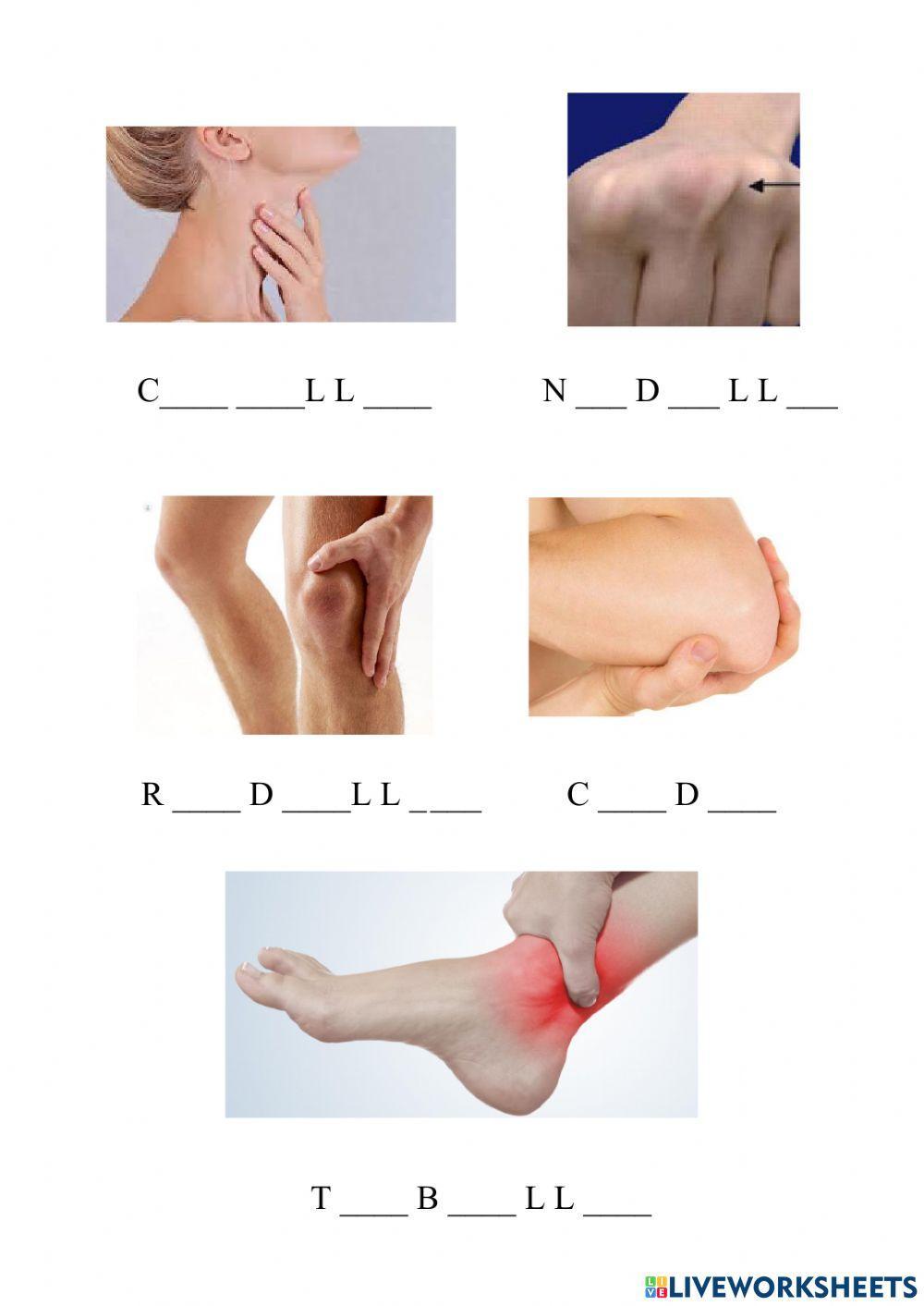 Integración vocálica