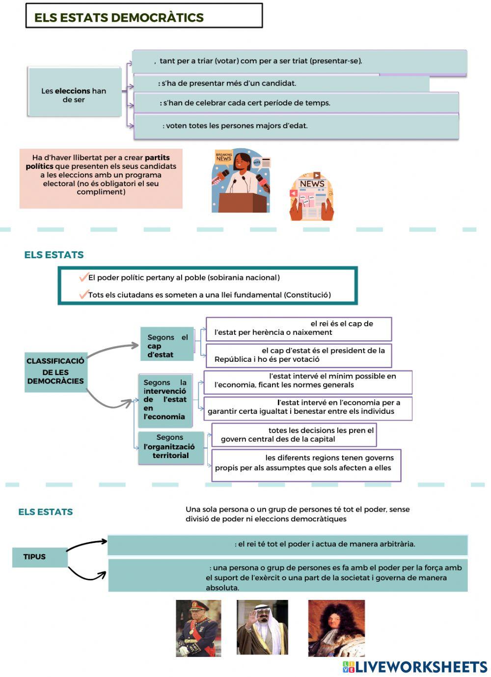 Organización política