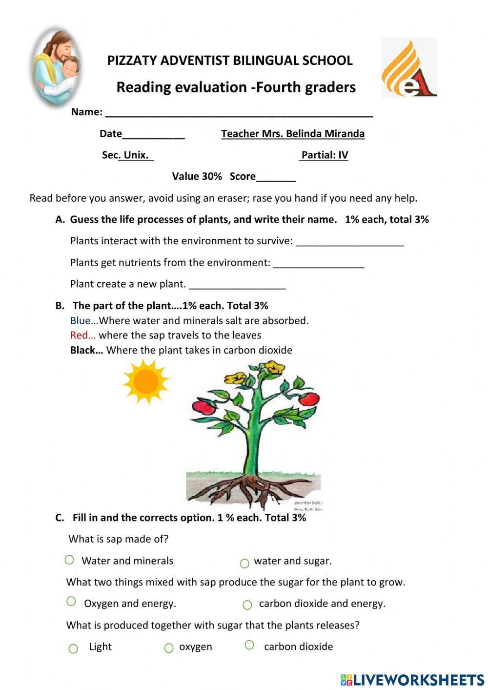 READING 4 GRADE EVALUATION