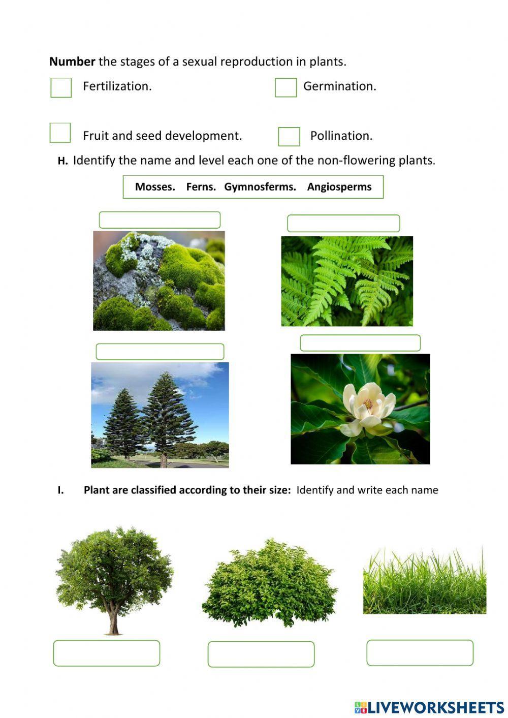 READING 4 GRADE EVALUATION