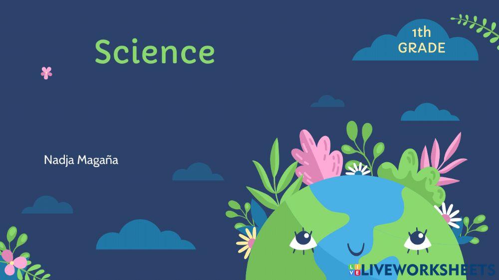 Science 1er trimestre