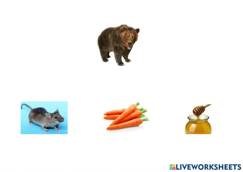 Animales del otoño comida