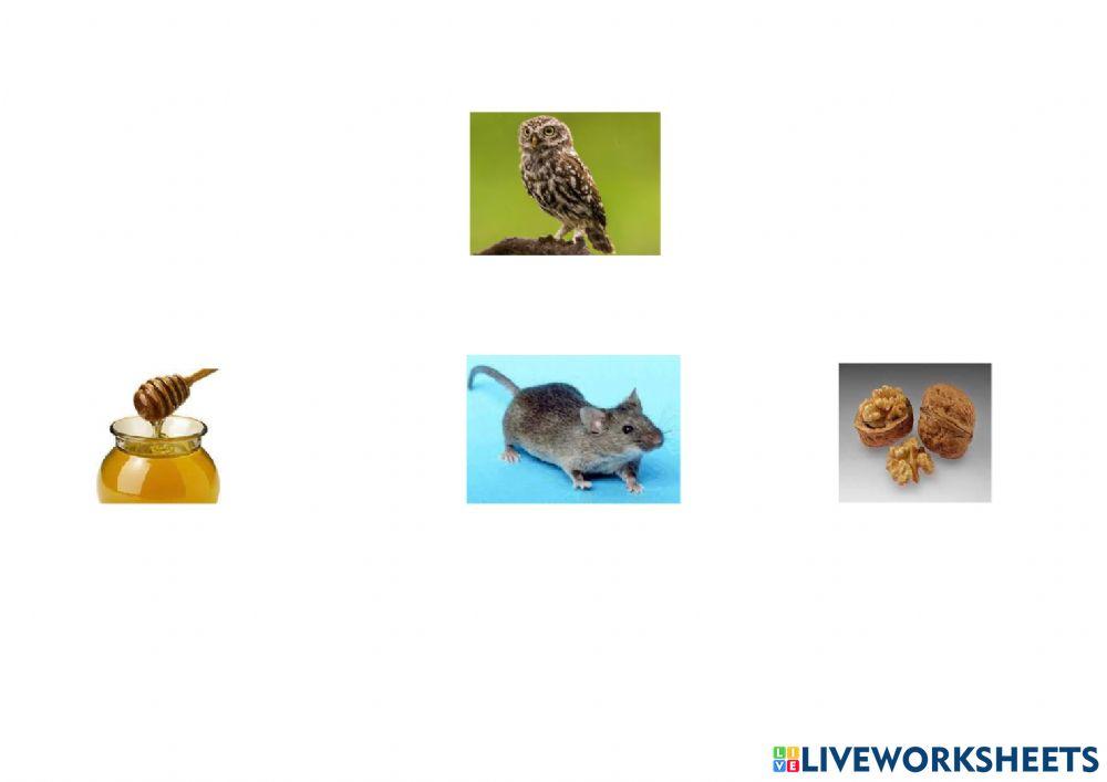 Animales del otoño comida